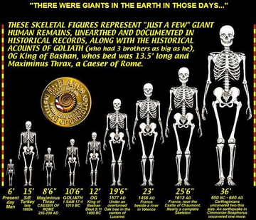 Giant skeletons found around the world range in size from 6 to 36 feet,with the smallest figure representing a present-day man