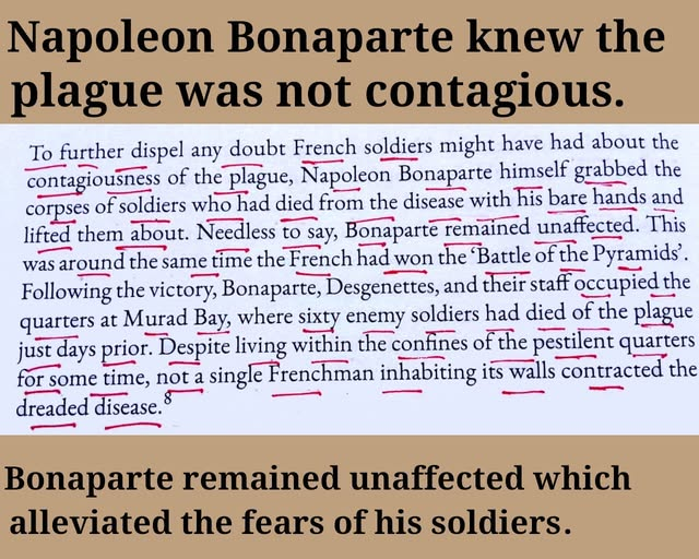 Napoleon plague Murad Bay screenshot — book page under investigation